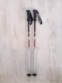 Dětské lyžařské hole 75 cm - Erbo Flight