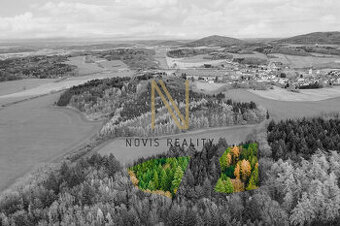 Prodej, les, 7475 m², Chudenice, Chudenický Žďár - 1