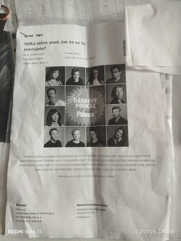 Prodávám dvě vstupenky na divadelní představení vše v textu.