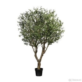 Umělý olivovník, 2400 mm, 12 větví