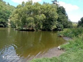 Pronájem ostrova - 1