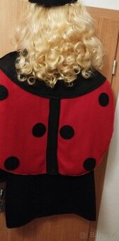 Pohádkové kostýmy  i  velikost  XL