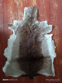 Vyčiněná kůže daněk