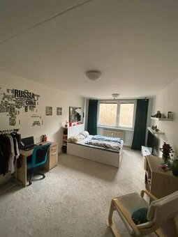 Spolubydlení v bytě 3+1 Komín - prostorný pokoj