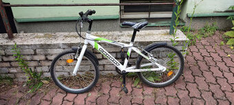 Dětské kolo Dama Sport Condor