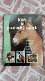Kůň a jezdecký sport - 1