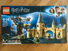 LEGO Harry Potter 75953 - 1