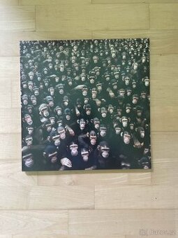 Viktor Sheen - Planeta opic vinyl, podepsaný