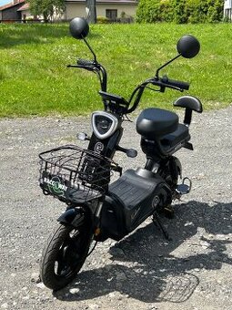Kobra racceway