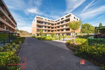 Pronájem, byty/1+kk, 29 m2, Kartónová 2844/10, Východní Před