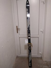 Lyže + běžky
