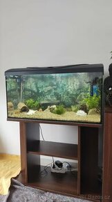 Zařízené plně funkční akvárium 112l s rybami