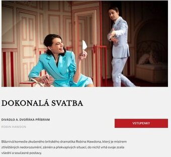 Divadlo Járy Cimrmana - Dokonalá svatba - 1