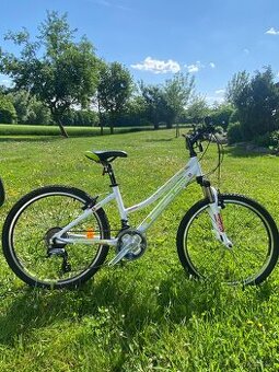 Dětské kolo Leader Fox SPIDER 24"