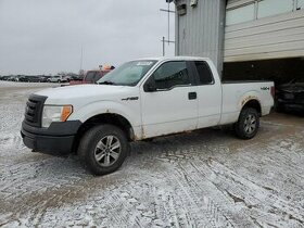 Ford F-150 2009-2014 dily