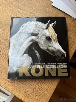 Koně