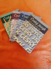 Český jazyk pro střední školy