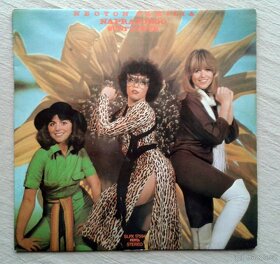 LP – zahraniční pop, od 50 Kč