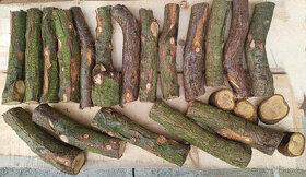 Rakytníkové dřevo (Hippophae rhamnoides) 33cm polínka