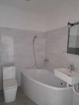 Byt 1kk po rekonstrukci