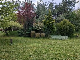 Pronájem zahrady se zahradním domkem, Křičeň-Lázně Bohdaneč