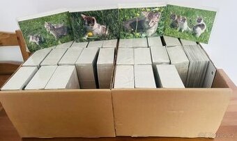 Nové zabalené pohledy/pohlednice s kočičkama ( 30x po 100ks)