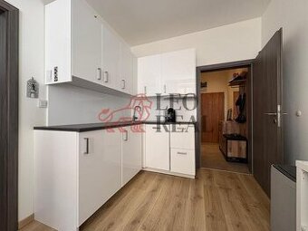 Pronájem bytu 1+1 o velikosti 45 m2