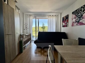 Pronájem bytu 1+kk 25 m2, Brno - Královo Pole, ev.č. N08251