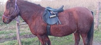 Hodně široké a krátké sedlo