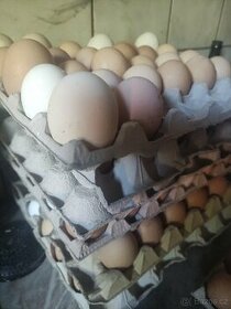 Domácí vajíčka