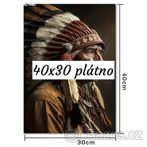 Indian 30x40 plátno tisk - 1