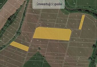 Prodej pole v k.ú. Košatka nad Odrou