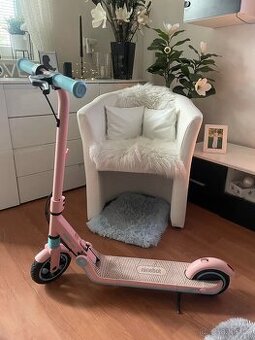 Elektrická koloběžka Ninebot DĚTSKÁ (Segway)