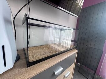 Terarium
