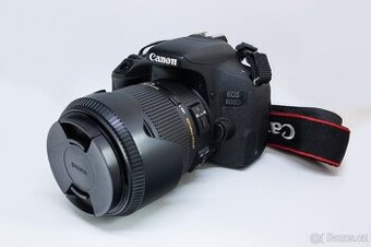Canon EOS 800D + Sigma 18-200 mm f/3,5-6,3 DC OS HSM II