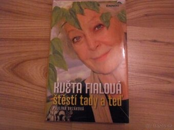 květa fialová štěstí tady a ted - pavlína brzaková