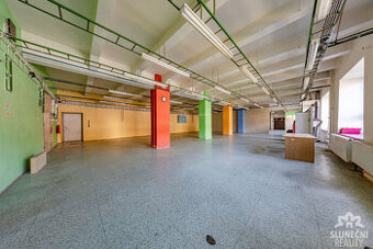 Pronájem průmyslového prostoru, 320 m², Uherský Brod