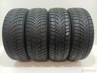 Zimní pneu 195/55/16 Platin
