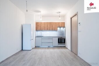 Pronájem bytu 2+kk 47 m2 Placzkova, Brno