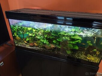 Akvárium Aquatlantis 240l + Eheim pro 4+