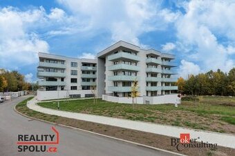 Pronájem, byty/2+kk, 60 m2, Sedlecká 1084/33, 36010 Karlovy 