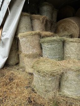 Prodám letošní seno - kulaté balíky velké i malé