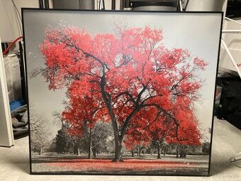 Topný obraz, infrapanel