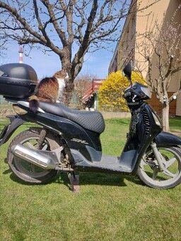 Honda sh 150
