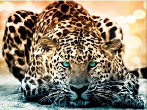 Leopard - diamantové malování - 1