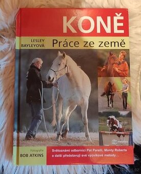 Koně - Práce ze země Lesley Bayley