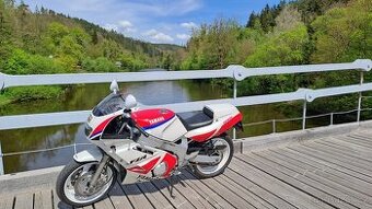 Yamaha FZR600