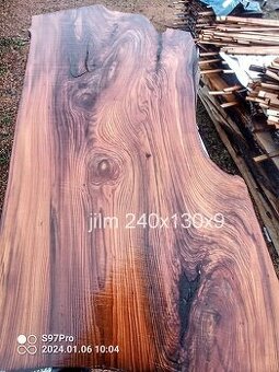 MEGA velké desky Jilm a Jasan