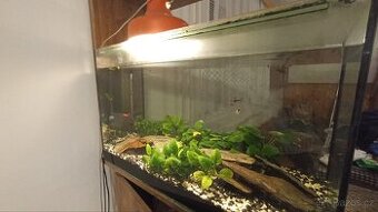 Akvárium s technikou