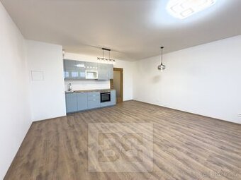 Pronájem byty 1+kk, 37 m² - Liberec, ev.č. N08619